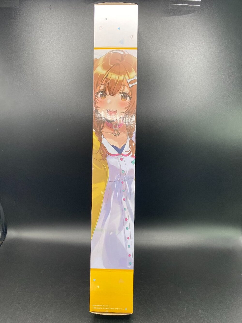 Bandai Spirits Hololive Inugami Korone Canvas-Style Tapestry A2 New